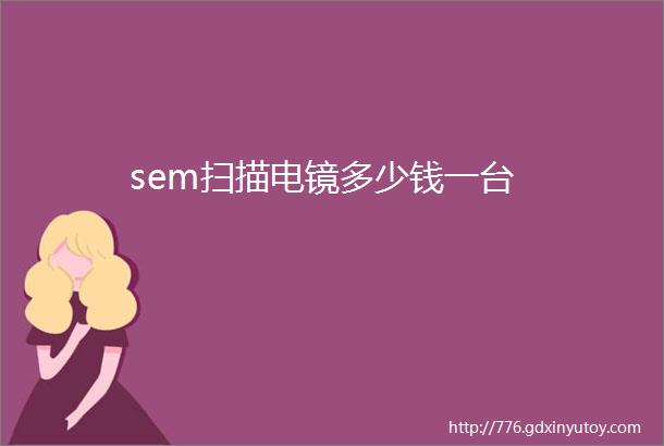 sem扫描电镜多少钱一台